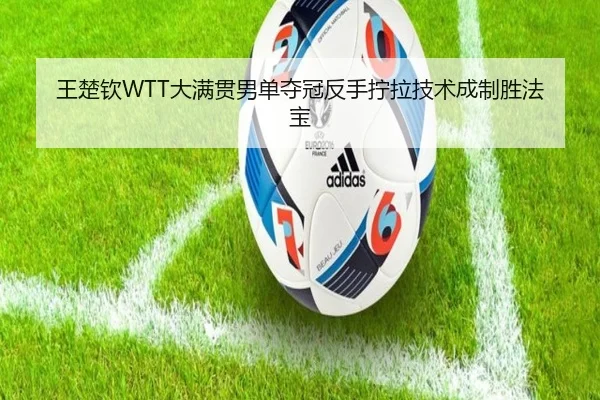 wang-chu-qin-da-man-guan-nan-dan-duo-guan-fan-shou-ning-la-ji-shu-cheng-zhi-sheng-fa-bao-2-764.jpg